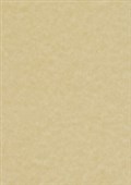 PARCHMENT PAPER A4 100GSM SATURN GOLD PACK 12