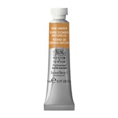 WINSOR AND NEWTON PROFESSIONAL WATER COLOUR PAINT SERIES 1 5ML RAW UMBER