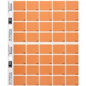 FILECORP CEZI COLOUR FLASH LABEL 03FCHLCOLCH3 40 LABELS LIGHT BROWN